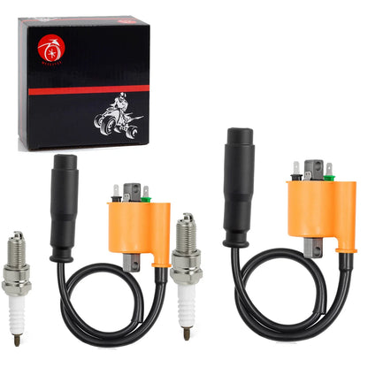 2X Ignition Coil Pack for Kawasaki Teryx4 (2004–2013)