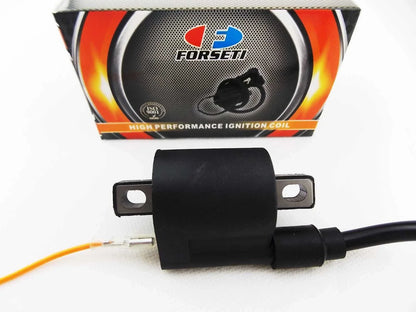 Ignition Coil Spark Plug Cap Assembly for JIANSHE COYOTE 80