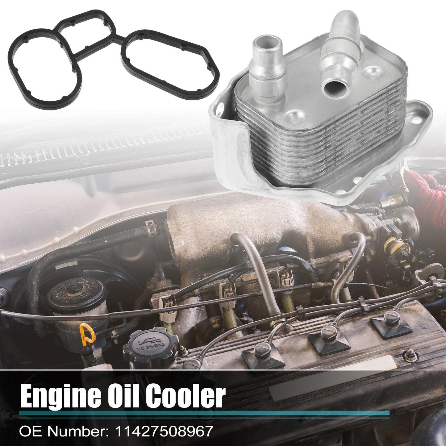 Oil Cooler Housing with Gasket Assembly for BMW 120i 318i