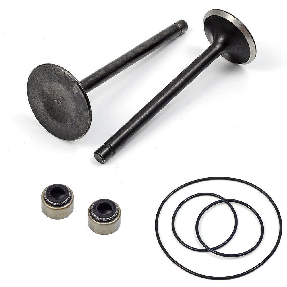 Intake Valve for Yamaha Kodiak 400 (1993–2001)