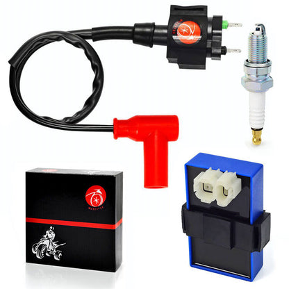 Ignition Coil and CDI Module for Honda TRX400FW (1995–2003)