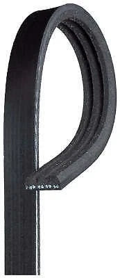 Water Pump Belt for Mazda 2 (2014–2021)