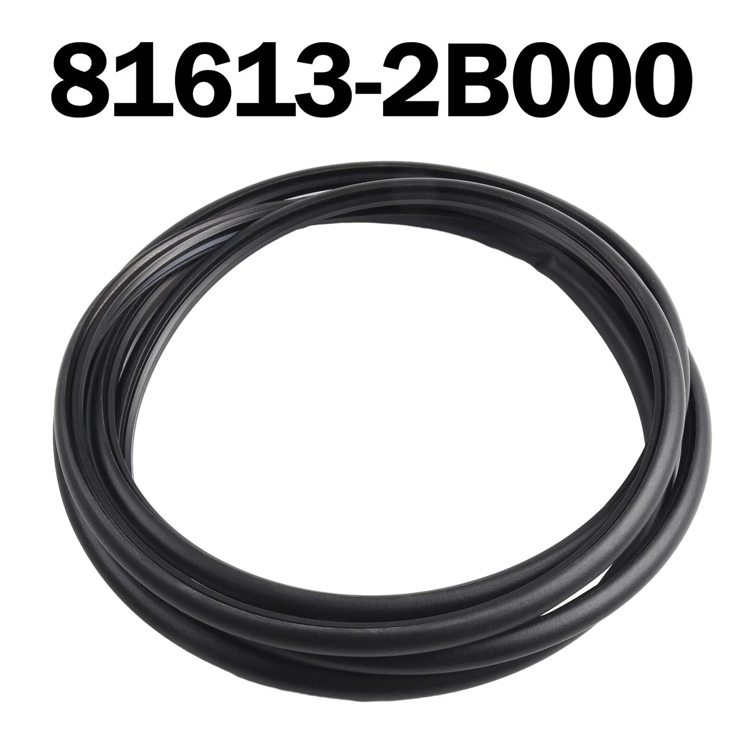 Sunroof Glass Strip Seal for Hyundai Santa Fe