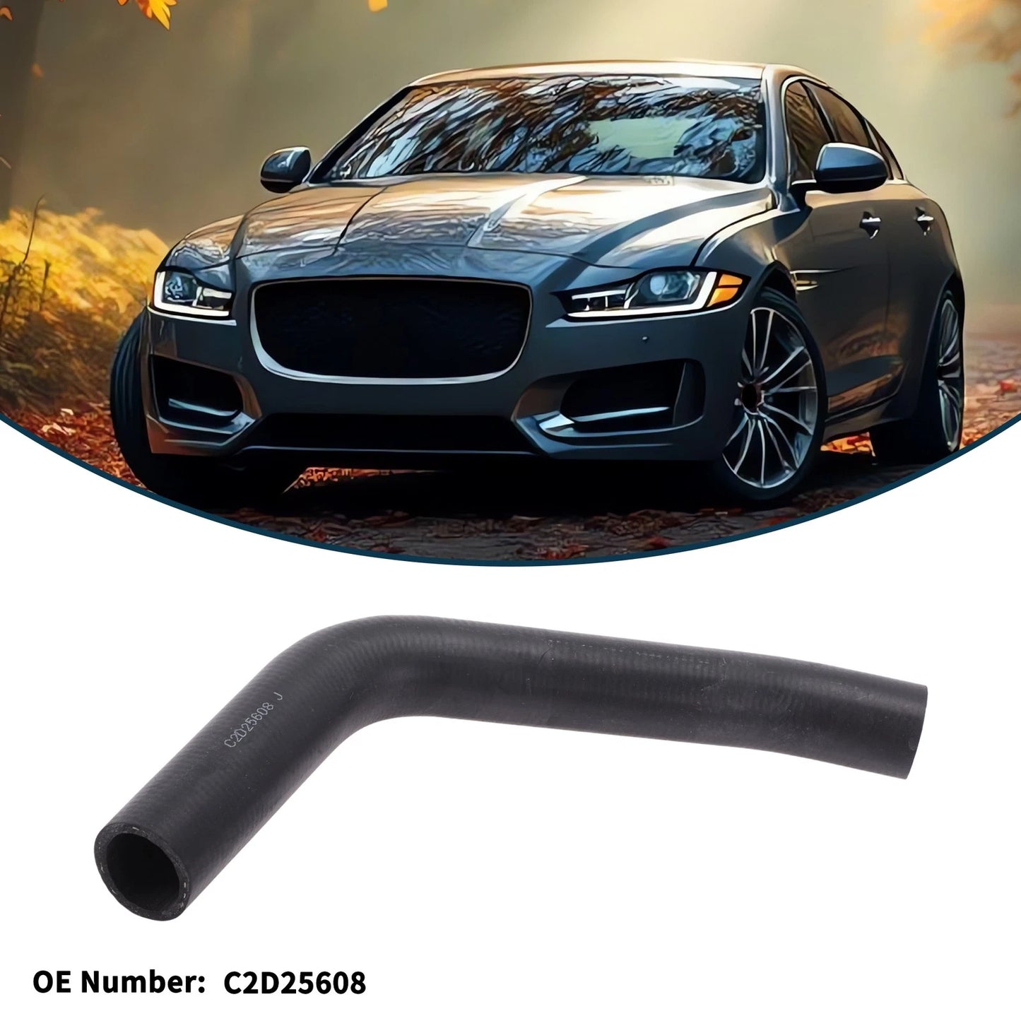 Radiator Hose No.C2D25608 for Jaguar XF (2013–2015)