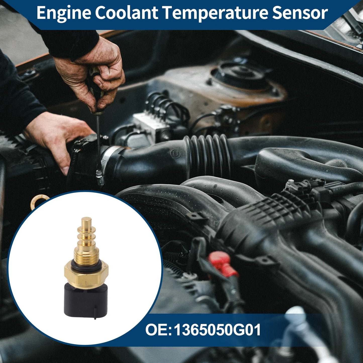 Engine Coolant Temperature Sensor   No. 1365050G01