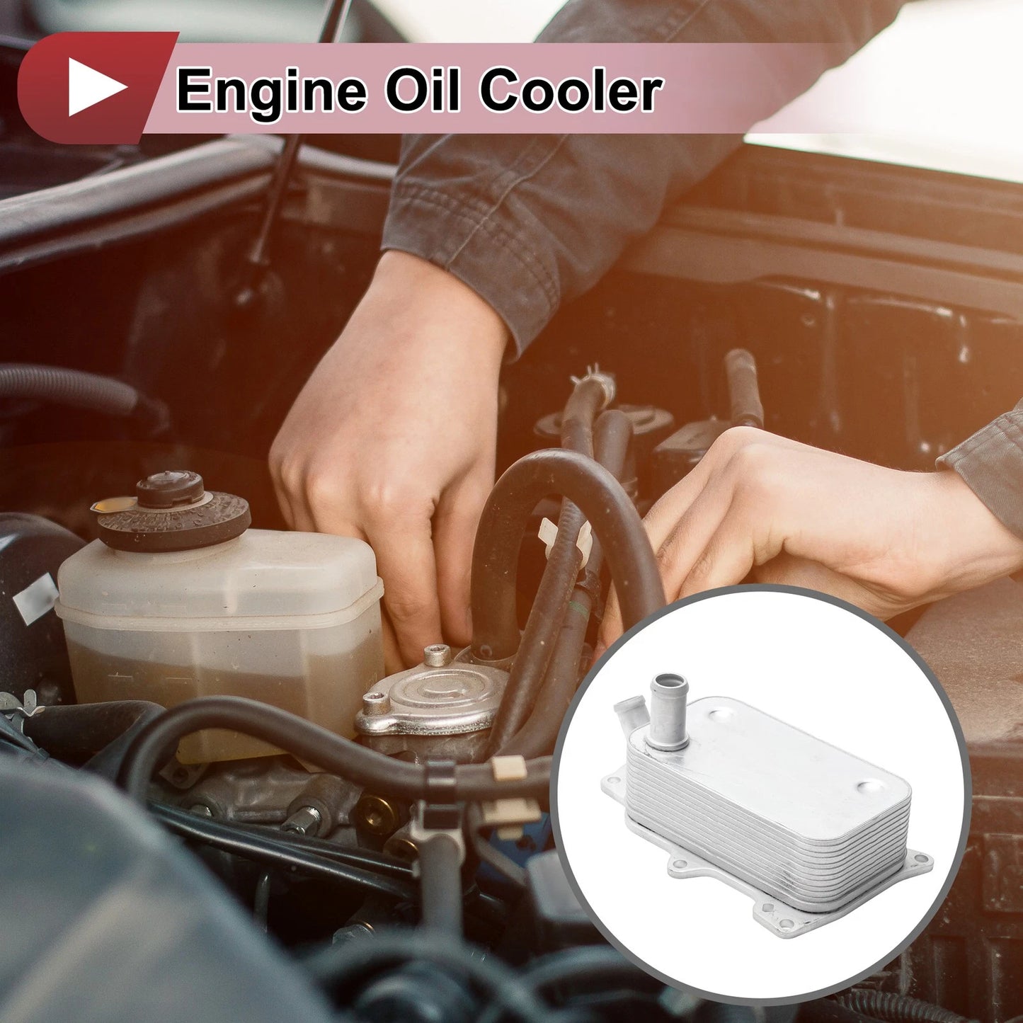Engine Oil Cooler for Ford Transit 2.4 MK6 RWD (2000–2006) No.BK2Q6B624AA