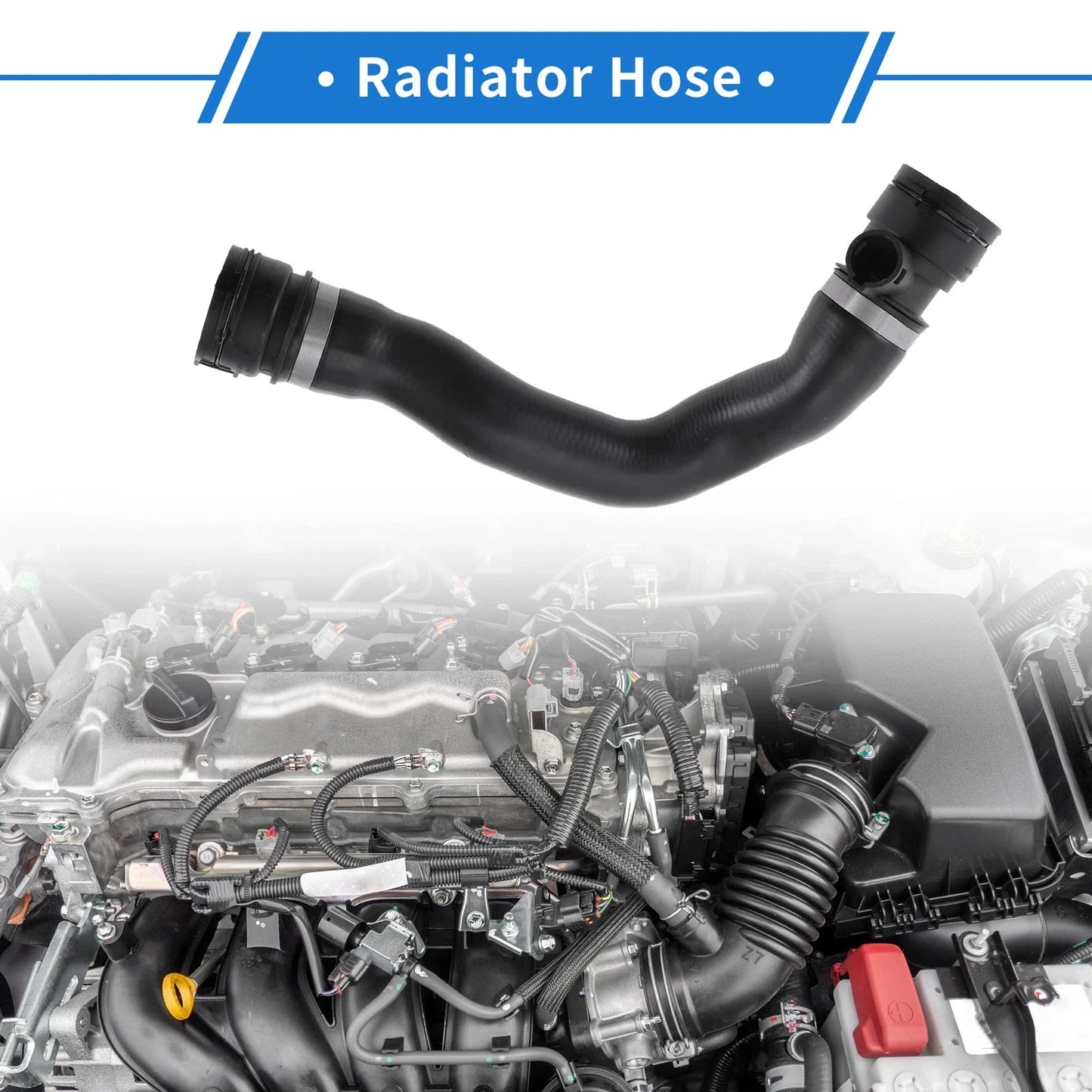 Radiator Hose for BMW X5 Petrol (2006-2008)
