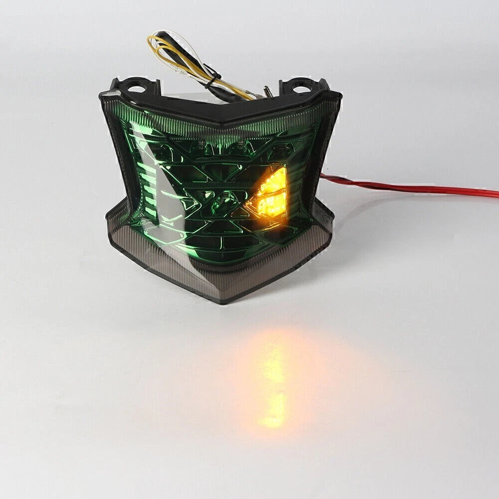 Rear LED Turn Signal Taillight Lamp for Kawasaki Z900/Z650 ABS (2017–2023)