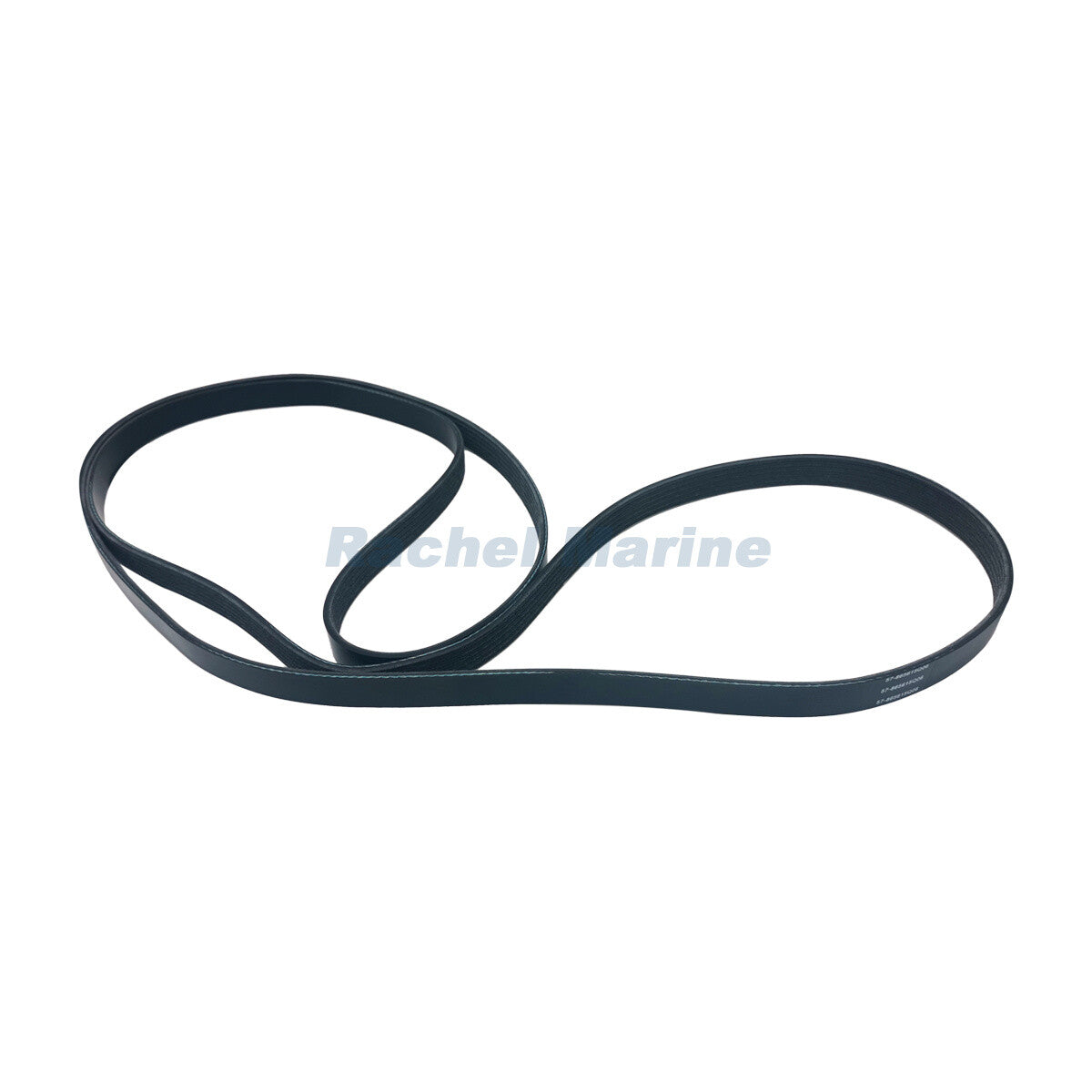 Serpentine Belt for MerCruiser Sierra (2018–2022)