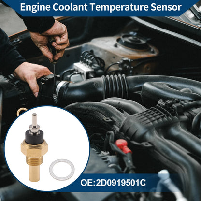 Engine Coolant Temperature Sensor   2D0919501C