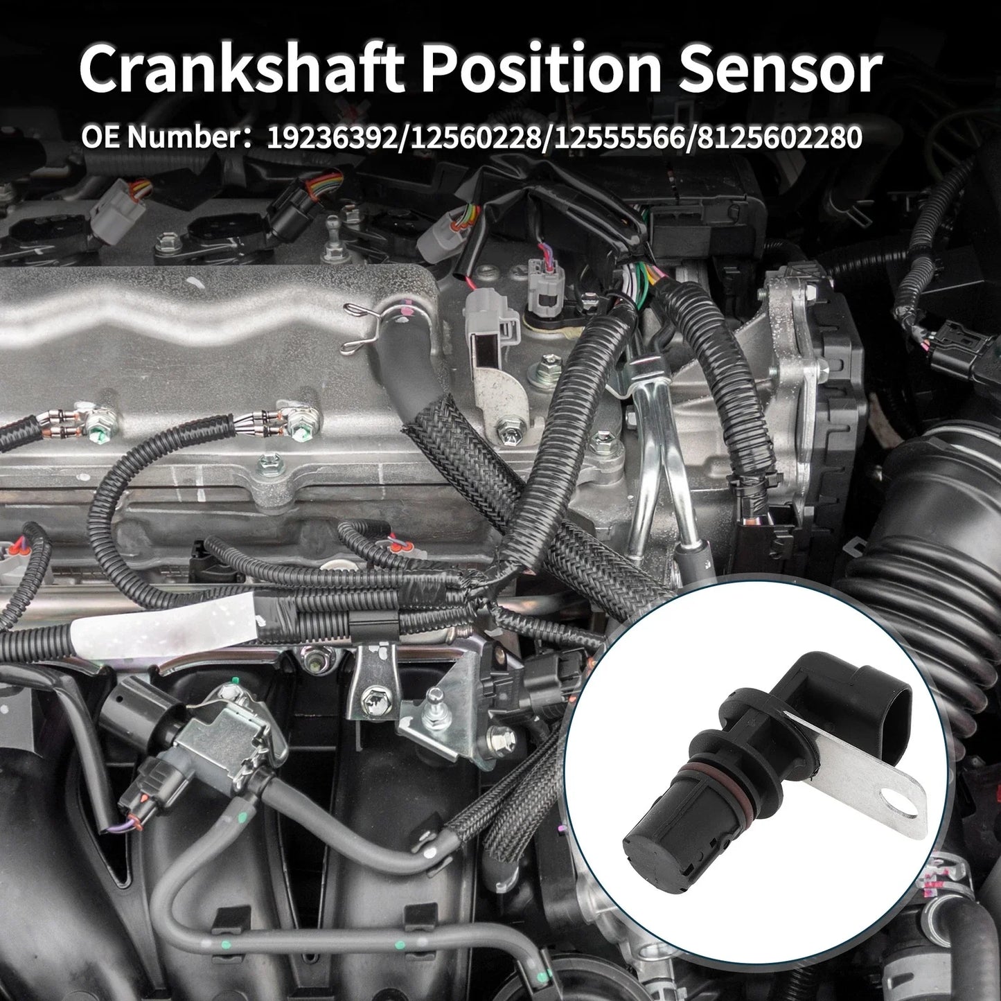 Crankshaft Position Sensor for Chevy Silverado 1500 4.8L 5.3L (1999-2005)