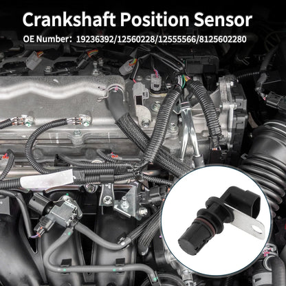 Crankshaft Position Sensor for Chevy Silverado 1500 4.8L 5.3L (1999-2005)