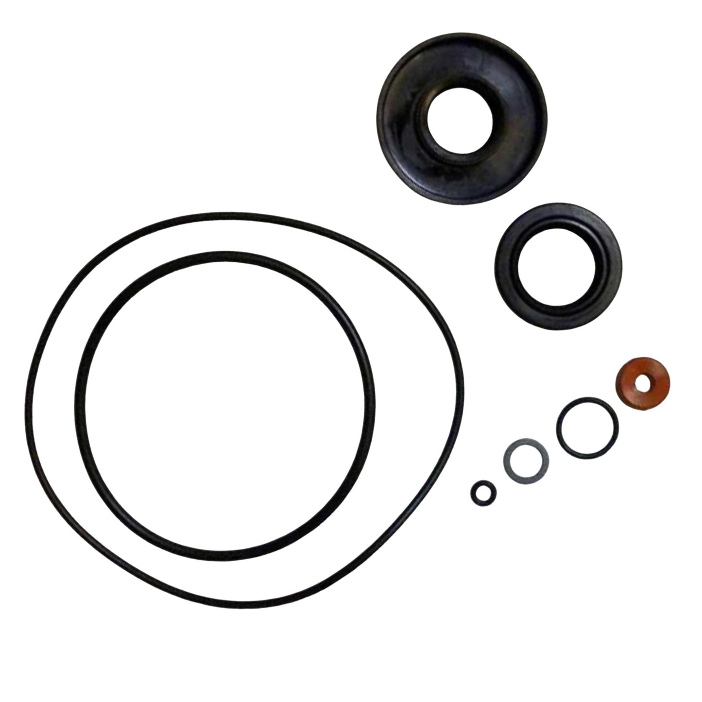 Lower Unit Seal Kit for Force 70 75 HP (1979–1980)