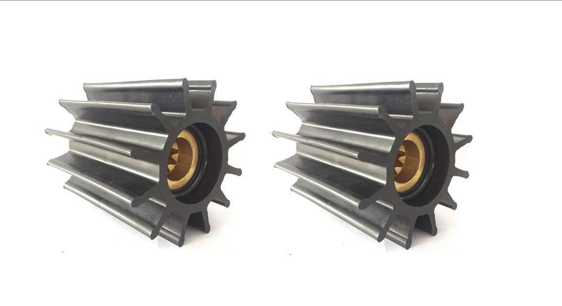 Set of 2 Flexible Impeller Water Pumps for Sherwood