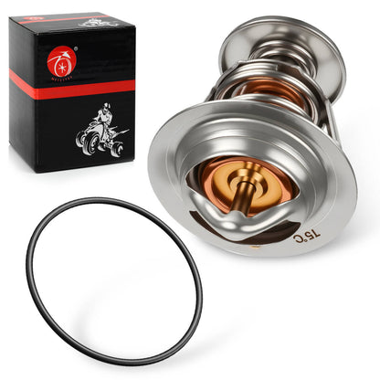 Thermostat & O-ring for Honda VTR1000 Super Hawk (1998–2005)