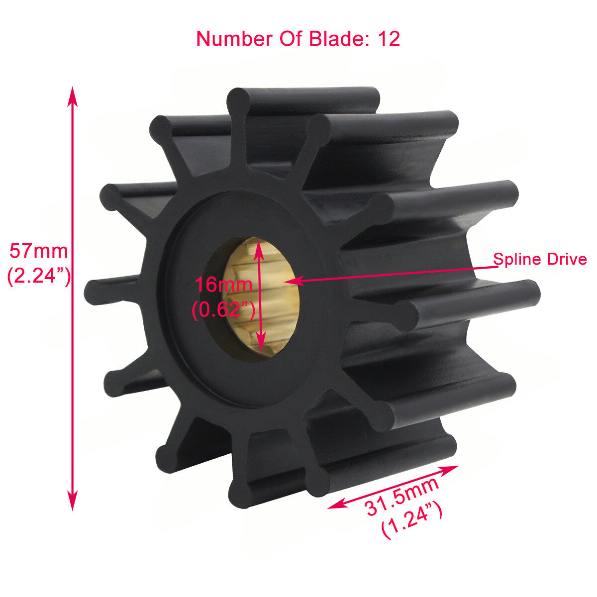 Raw Water Pump Repair Kit for Northern Lights (25-12004, 25-12057)
