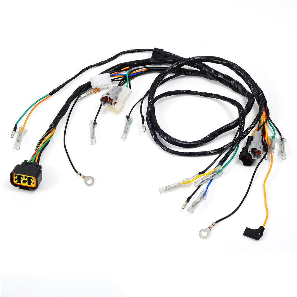 Complete Wiring Harness for Yamaha Blaster YFS200 (2003–2006)