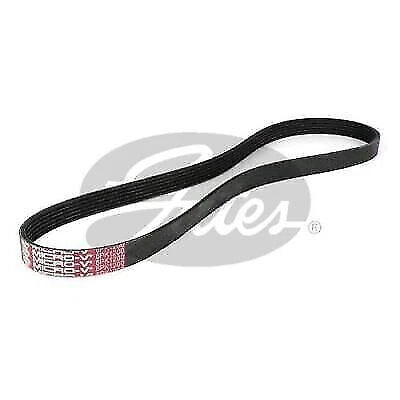 Drive Belt for Gates (Fan Belt) for Various Models