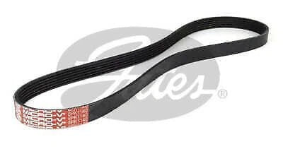 Drive Belt for Gates (Universal Fit)