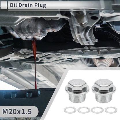 Set of 1 M20x1.5 Engine Oil Drain Plug with Gasket for Car Motorcycle