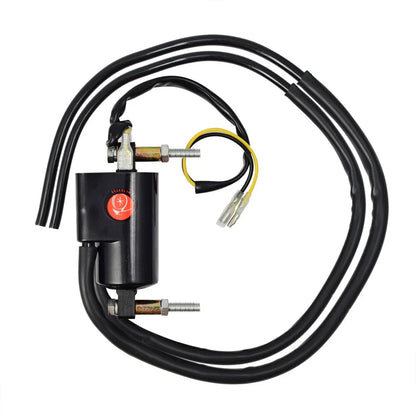 2 x Ignition Coil for Suzuki Bandit (1996–2005)