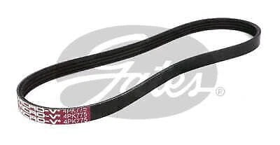 Drive Belt for Gates (4PK775)