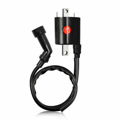 2X Ignition Coil for Yamaha V Star 1100 (1999–2009)