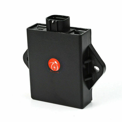 Ignition Coil Spark Plug CDI 2 x for Suzuki Quadrunner 250 (1999–2006)