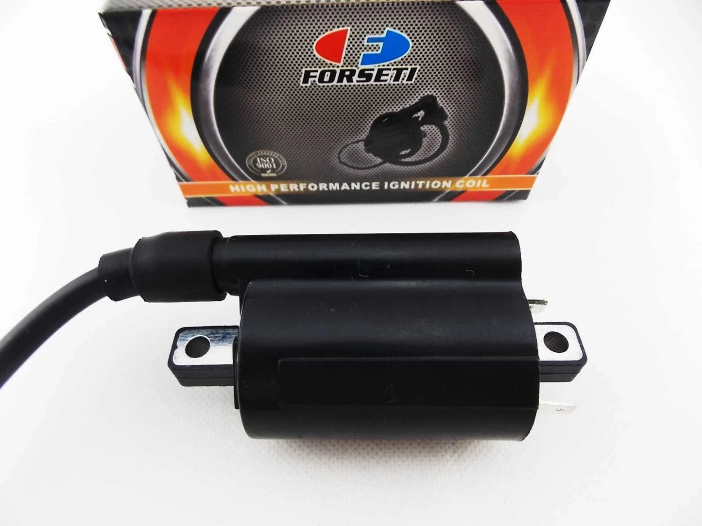Ignition Coil Spark Plug Cap Assembly for Honda NHX110 Lead (2008-2010)