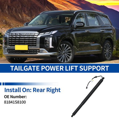 Rear RH Tailgate Power Lift Support for Hyundai Palisade (2020–2024) No. 81841S8100