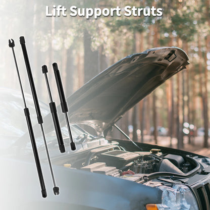 Set of 2 Lift Supports Struts for Dodge Intrepid (1998–2004)