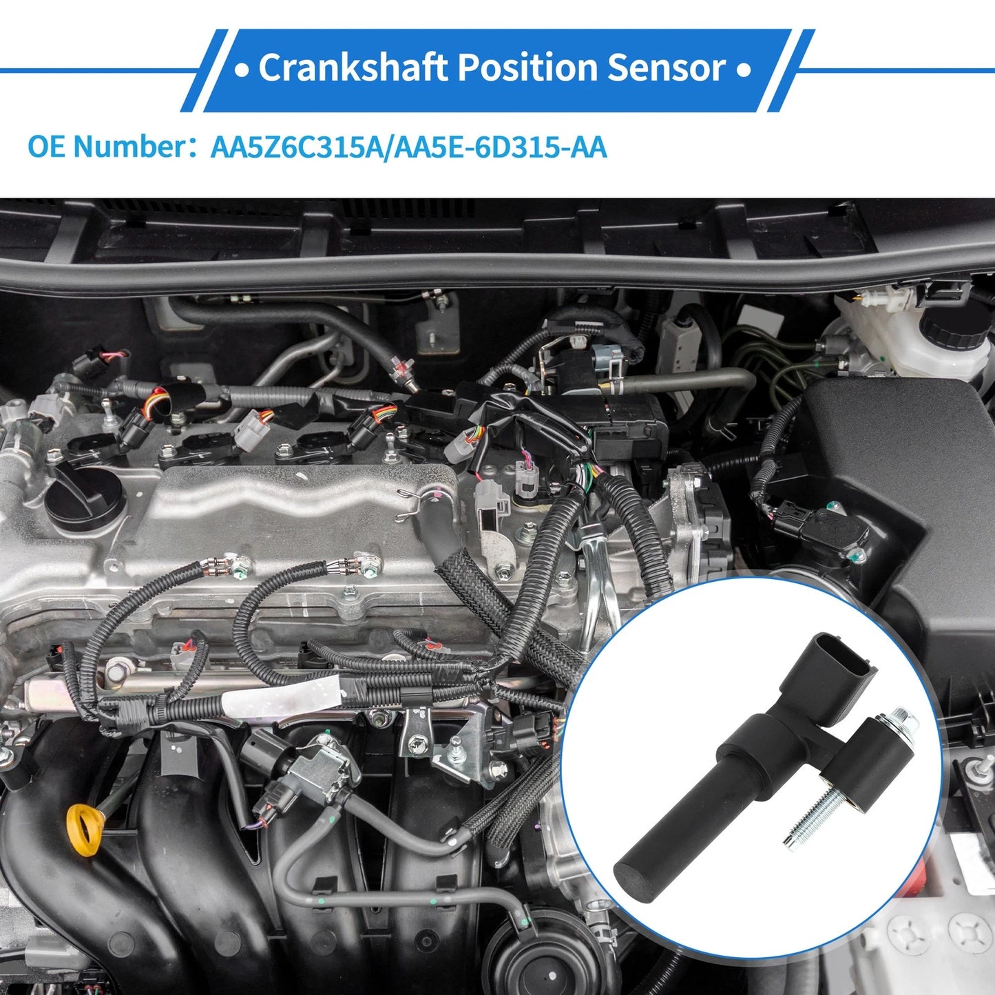 Crankshaft Position Sensor for Ford F-150 3.5 3.7 (2011–2017) AA5Z6C315A