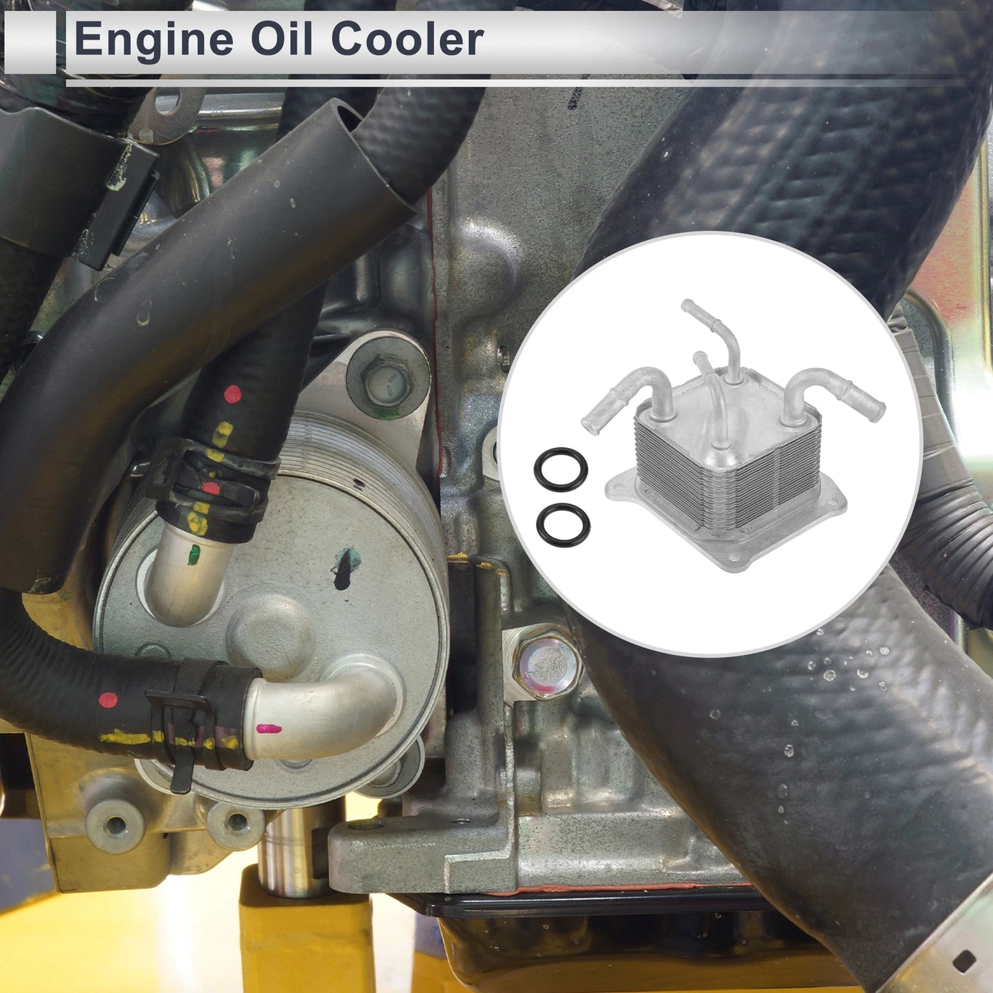 Engine Oil Cooler Set for Nissan (No. 216063JX2C)