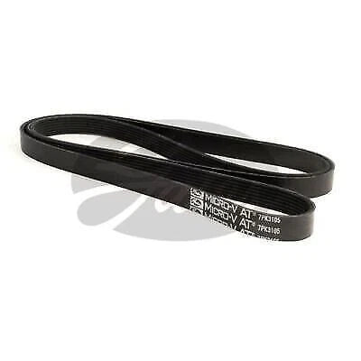Belt for Ford Ranger PX1 (2011–2015)