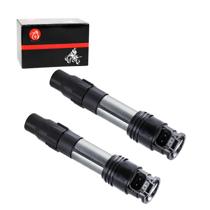 Ignition Coil Set for Kawasaki Ninja EX300 (2013–2017)