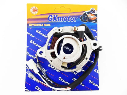 GTMOTOR G50T GXMOTOR Stator Magneto Ignition Coil Assembly for Car