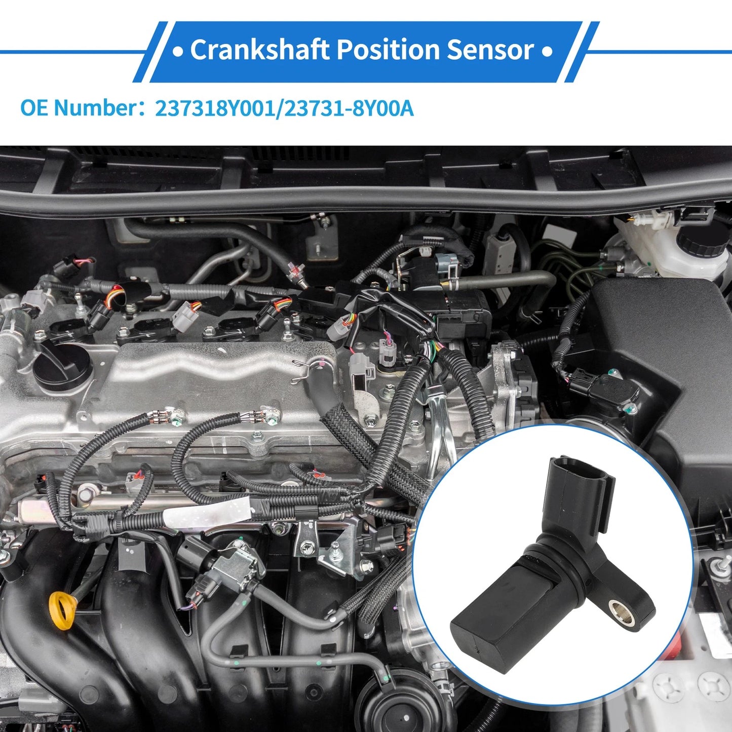 Crankshaft Position Sensor for Nissan Altima SE 3.5 (2002–2006) No. 23731-8Y001