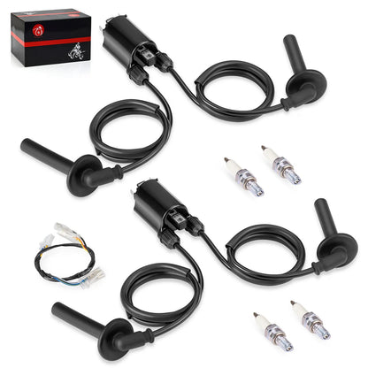 2 x Coil & Spark Plug + Ignition Sub Harness for Honda ST1100 (1991–2003)
