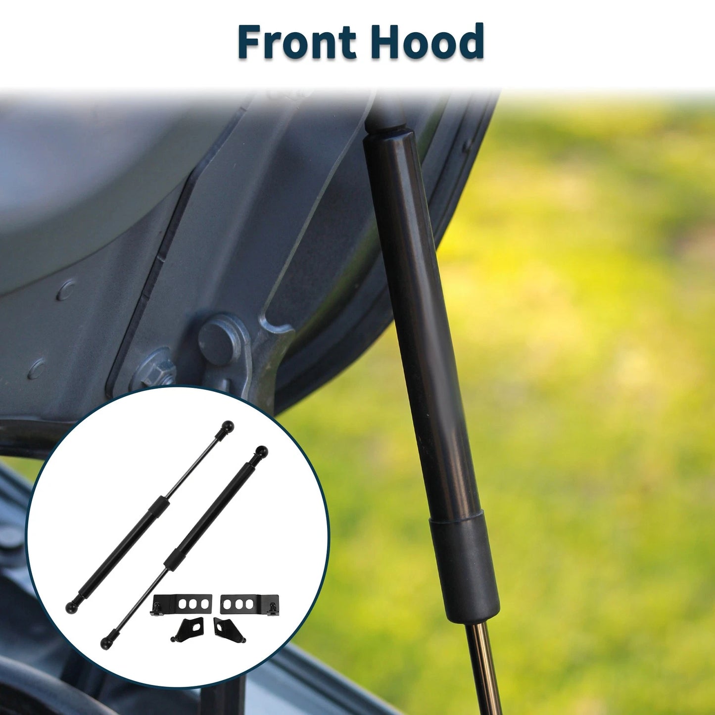 Front Hood Lift Supports Struts Gas Spring for Toyota RAV4 (2019–2024)