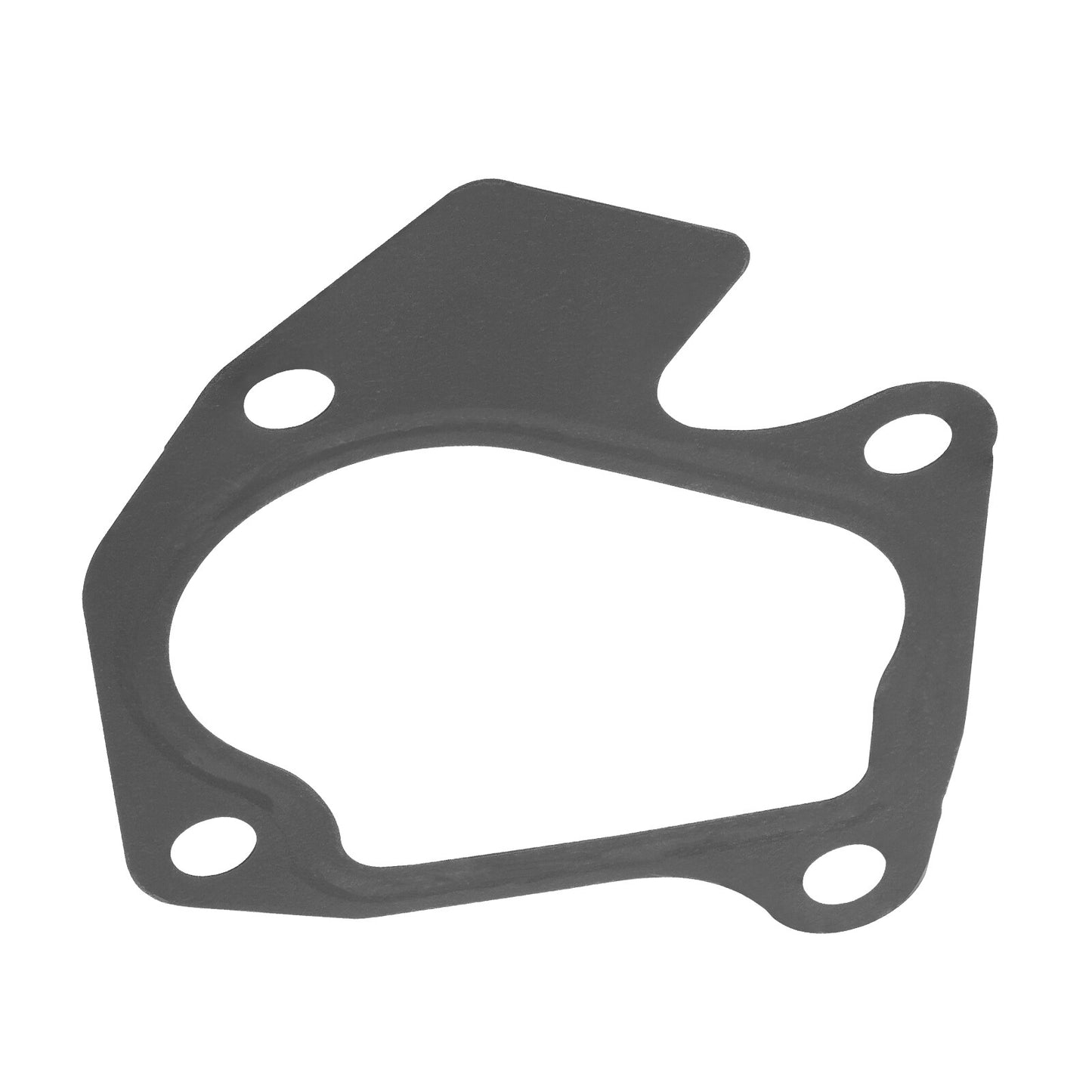 Exhaust Gasket for Polaris RZR 74 T RCR (2023)
