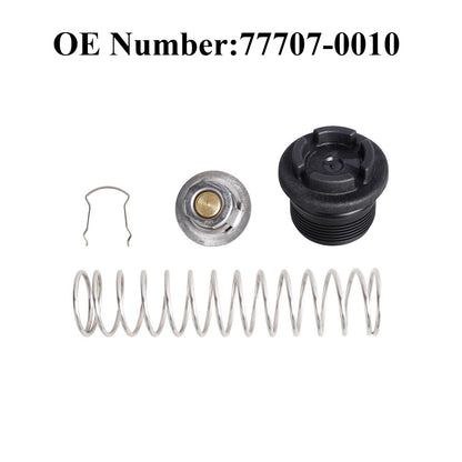 Thermal Regulator Replacement Kit for Pentair Pool and Spa Heater
