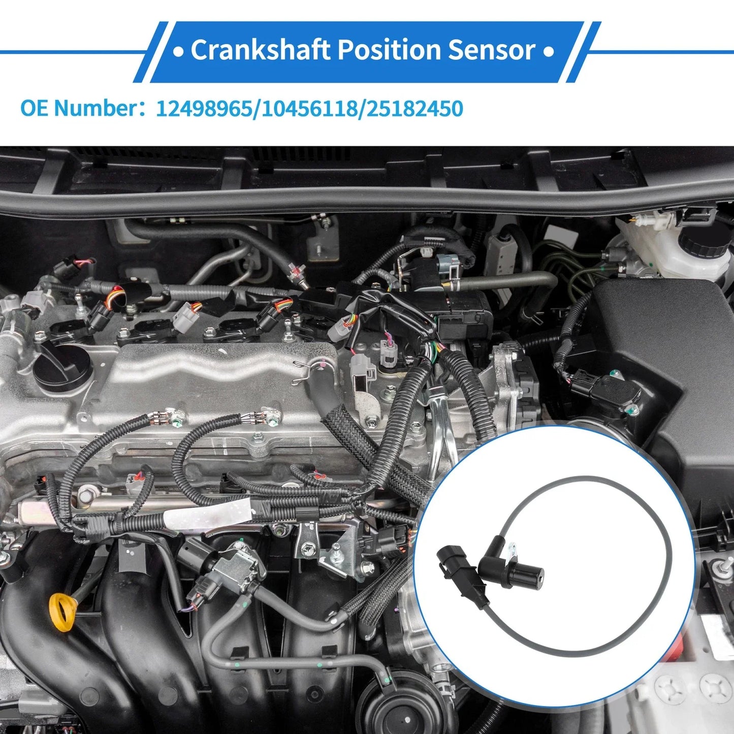 Crankshaft Position Sensor for CHEVROLET Kalos 1.4 16V (2005-2008) 1 x Pc