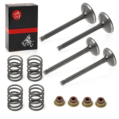 Intake Valve Set for EZGO 4 Cycle Gas Golf Cart (2003–2008)