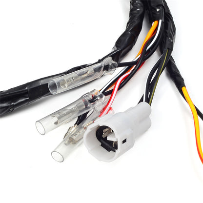 Wire Harness for Yamaha Blaster YFS200 (1997–2001)