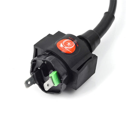 Ignition Coil and CDI Module for Honda TRX400FW (1995–2003)