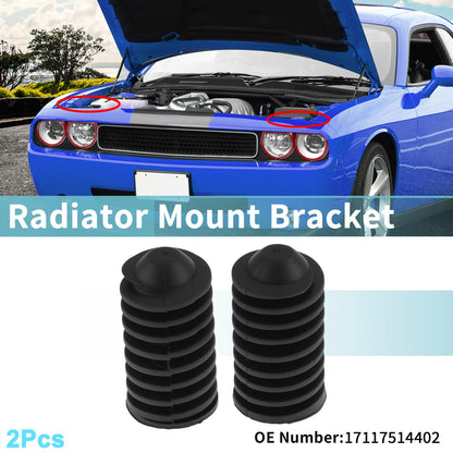 Set of 2 Radiator Mount Brackets for BMW 320i E46 (1997–2006) 17117514402