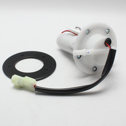 Fuel Pump Module for CFMoto 300NK 650NK 300SS (2022–2023)