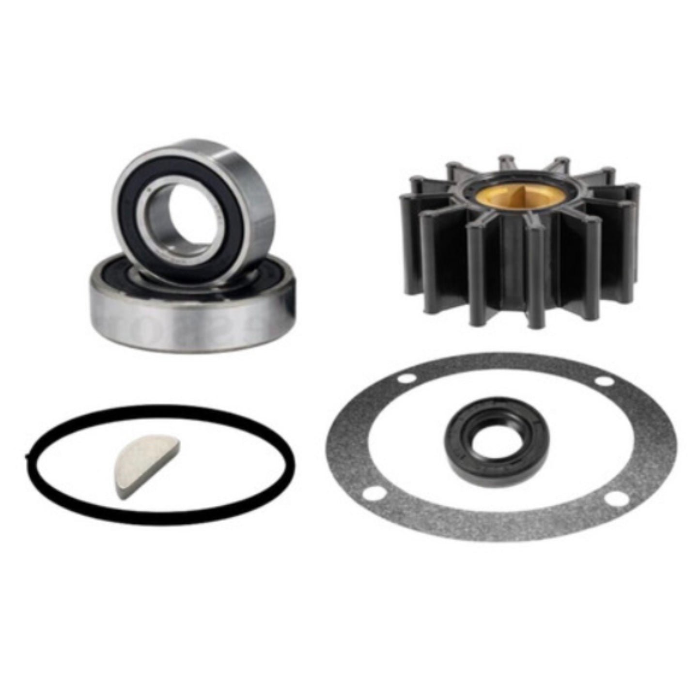 Water Pump Repair Kit for Sherwood G65 F85