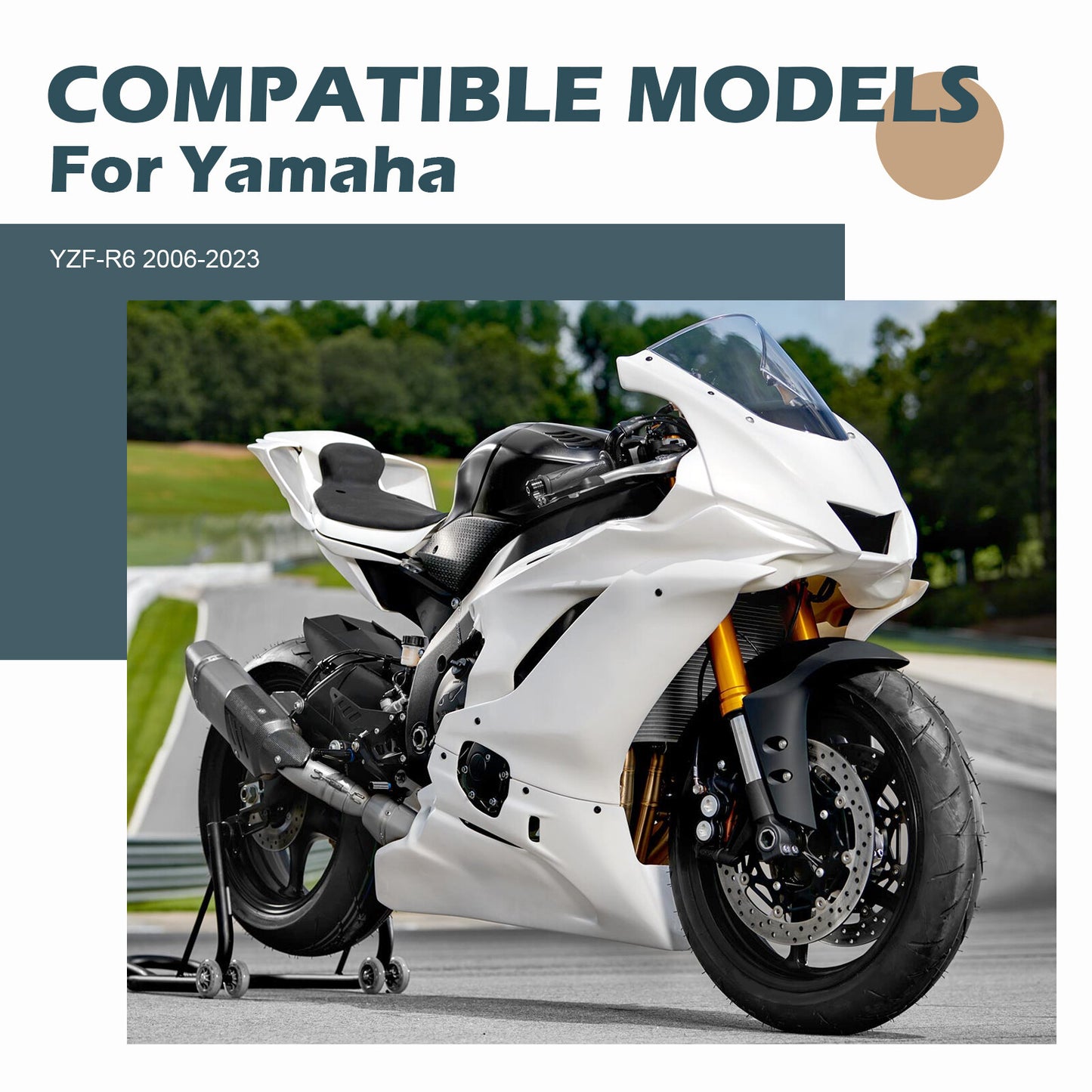 Front Chain Guide Guard Seal for Yamaha YZF-R6 (2006–2023)