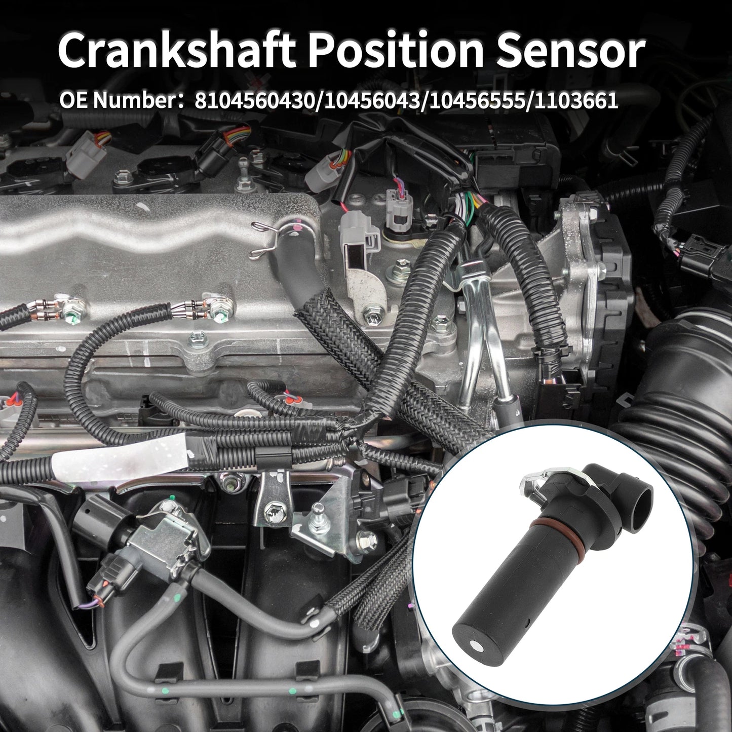 Crankshaft Position Sensor for Chevrolet Impala (2000–2005) No. 8104560430